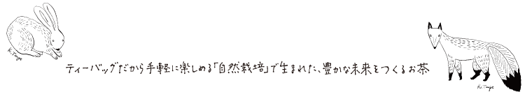 ティーバッグだから手軽に楽しめる「自然栽培」で生まれた、豊かな未来をつくるお茶
