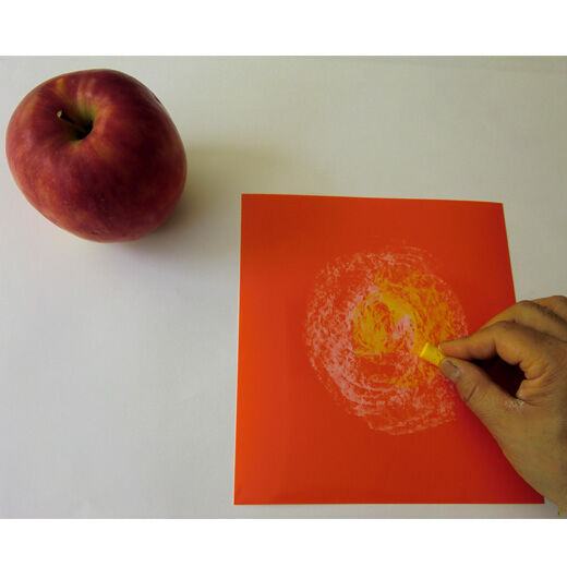 Real Stock|脳がめざめるお絵かきプログラム　オイルパステル編用　画材セット６「りんご・リンゴ・林檎」