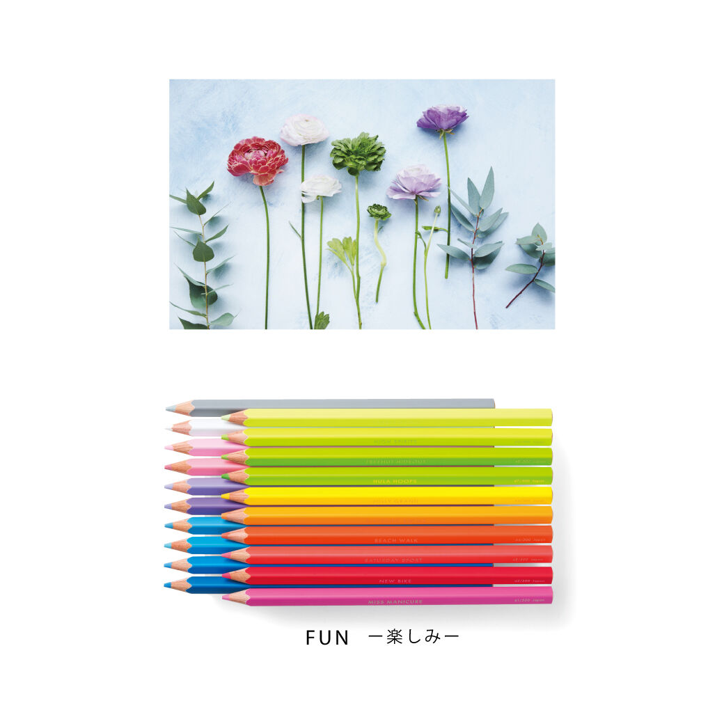 フェリシモ色鉛筆５００色＋特別蛍光色25色おまけ付きフルセット - 画材