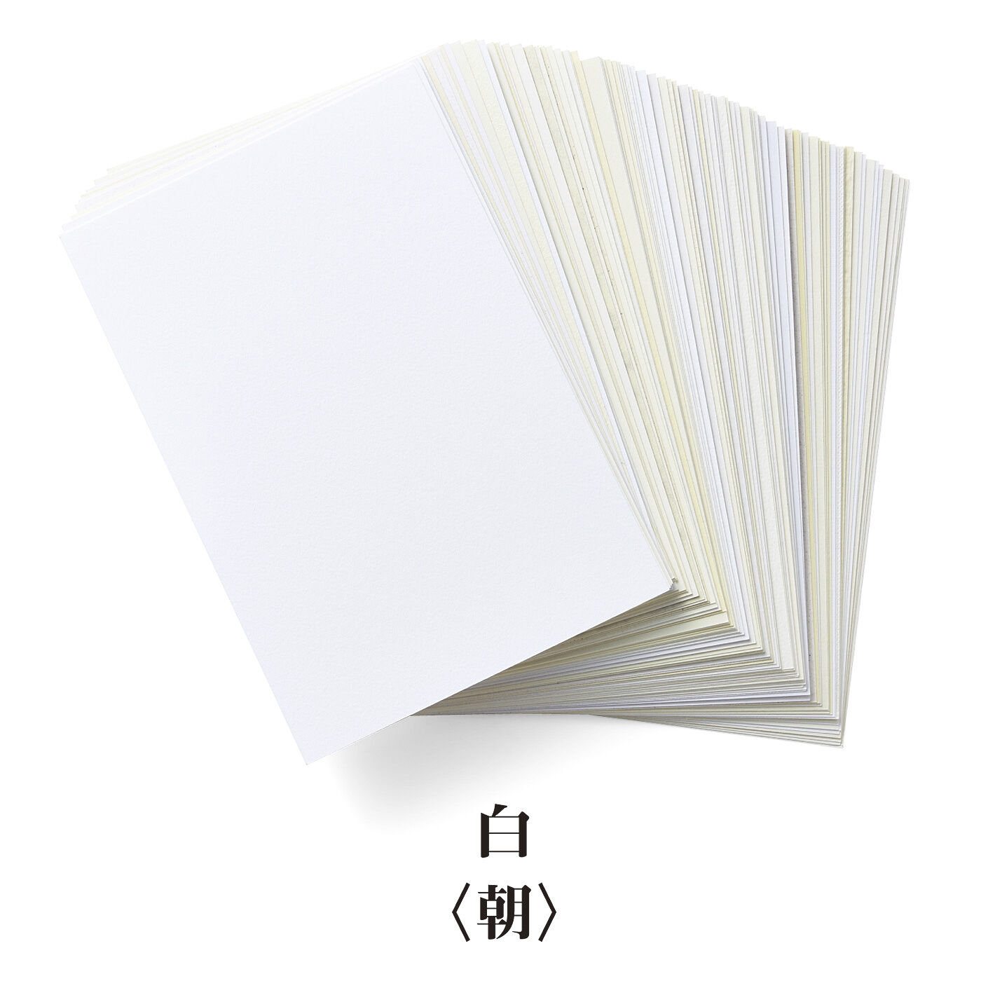 500色の色えんぴつ TOKYO SEEDS 紙の専門商社 竹尾が選ぶ 500種類の紙