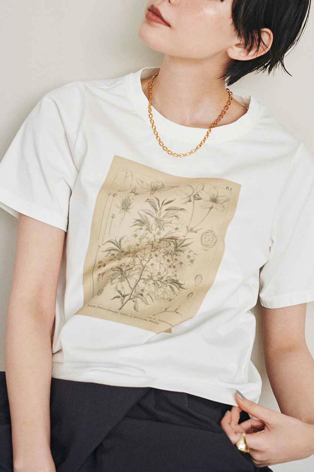 IEDIT|牧野植物園×IEDIT[イディット]コラボ　植物図Tシャツ〈コウシンソウ〉