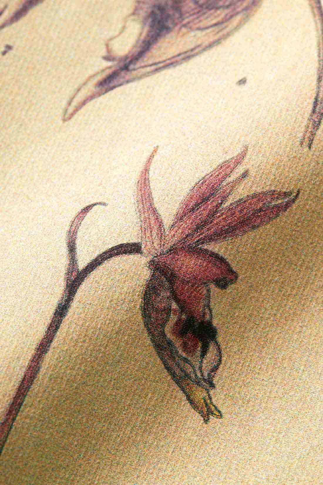IEDIT|牧野植物園×IEDIT[イディット]コラボ 牧野博士の描いた植物図プリントTシャツの会|インクジェットで風合い豊かにプリントで再現。