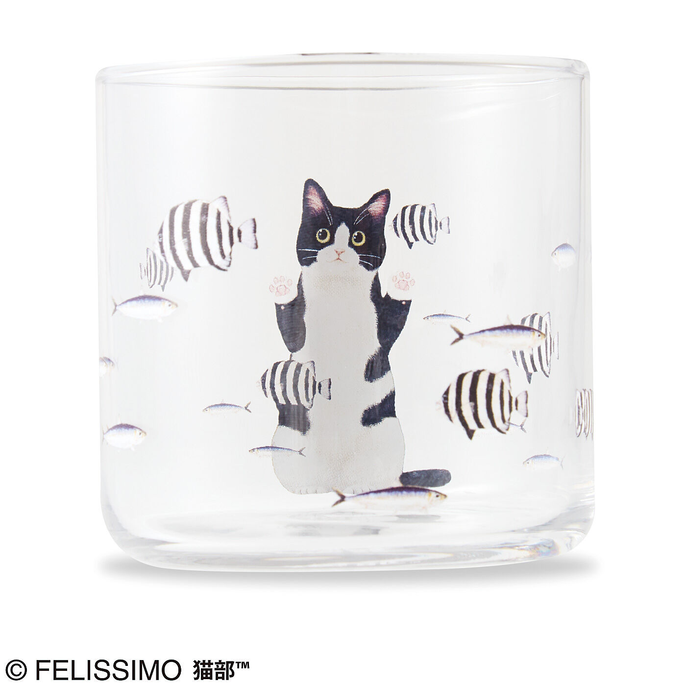 猫部|おいしそうだニャ～　猫さん夢の水族館グラスの会|〈ハチワレ〉
