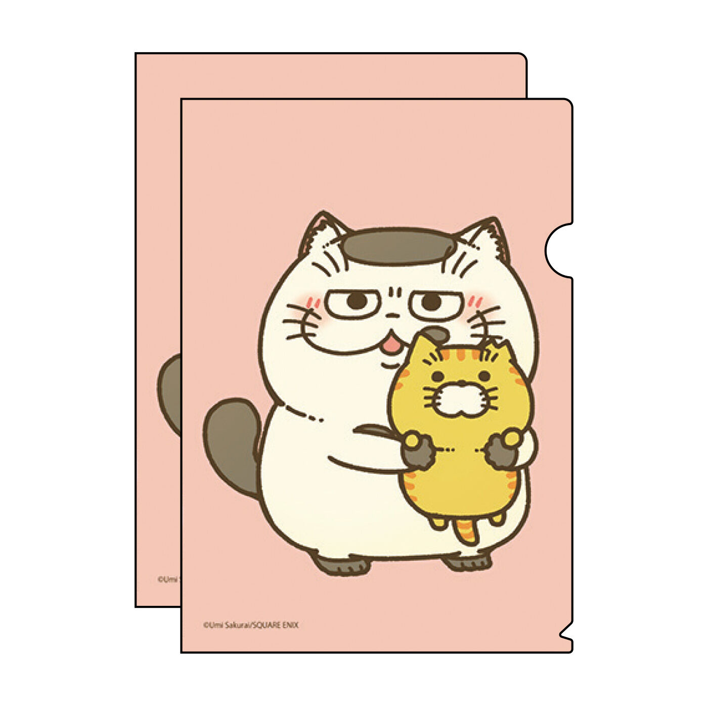 猫部 | 桜井海地域猫ファイル２０２１