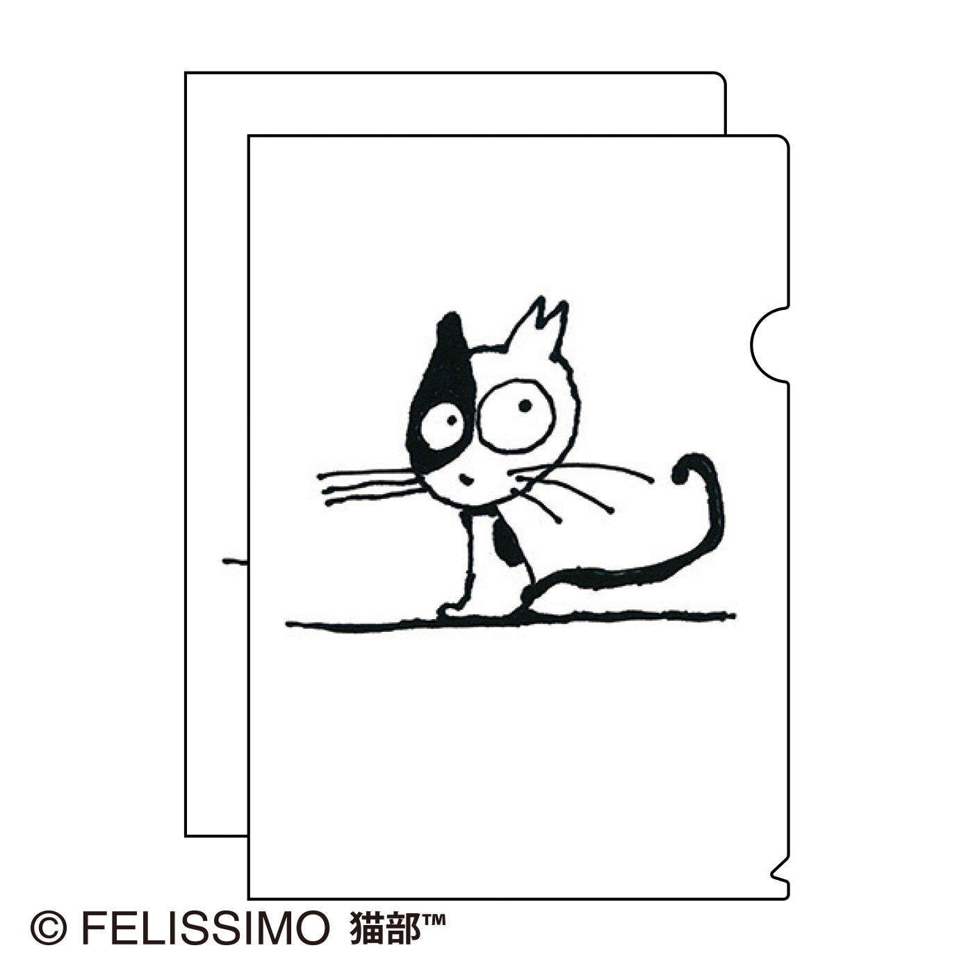 猫部 | 太田光地域猫ファイル２０２１