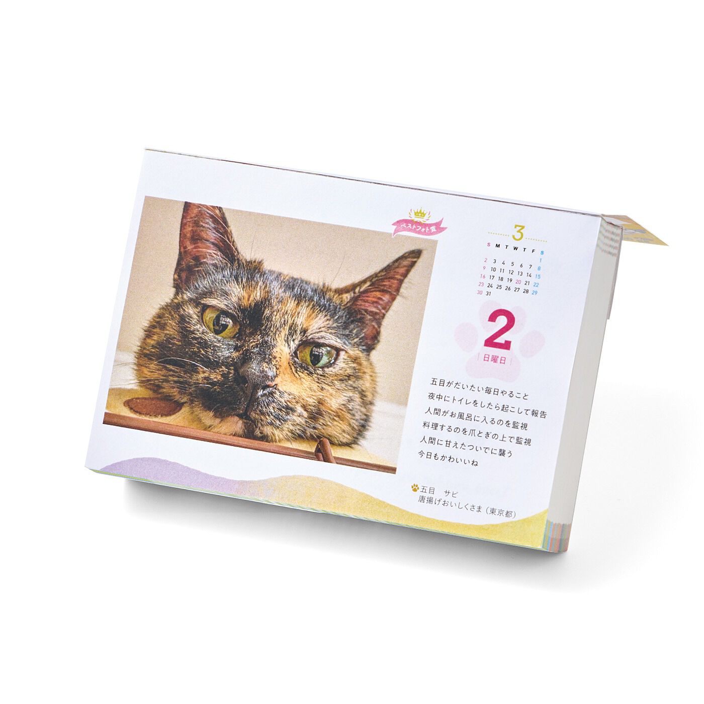 猫部の全商品｜フェリシモ【公式通販】