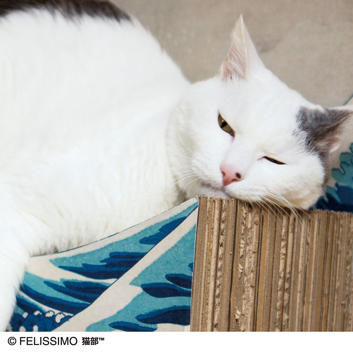 猫部|猫部×ミュージアム部　名画をたしなむ猫のつめとぎ〈葛飾北斎 神奈川沖浪裏〉|波が盛り上がった部分が、ちょうどあごにフィットするサイズ設計。