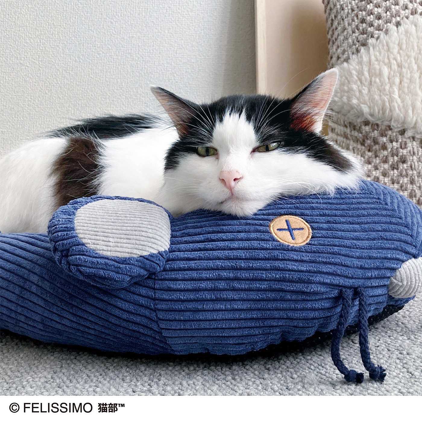 猫部|お耳がピコピコ動くチュー　遊んでくつろげるネズミさんベッドの会|あごをのせてくつろぎやすい高さに設計。