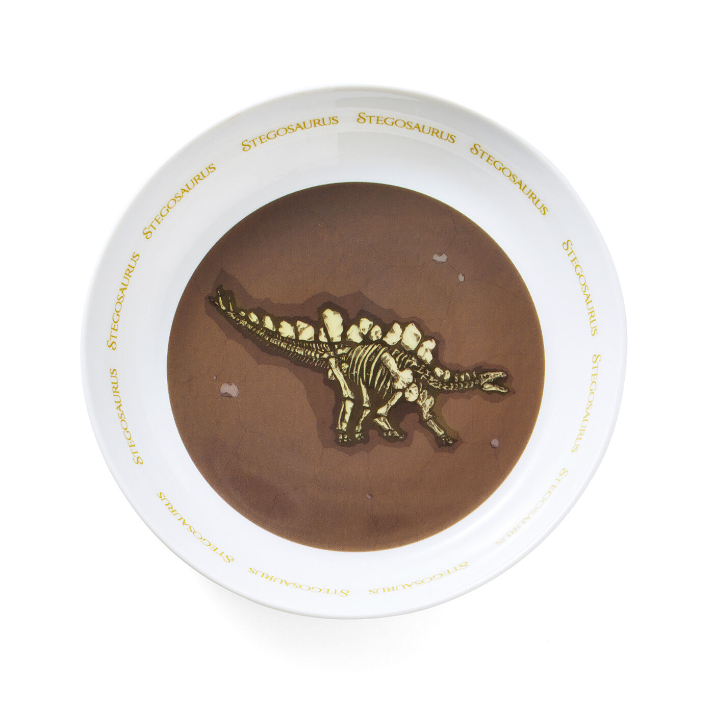 YOU+MORE!|YOU＋MORE！　食事中にまさかの発見　恐竜の化石発掘カレー皿の会|〈ステゴサウルス〉