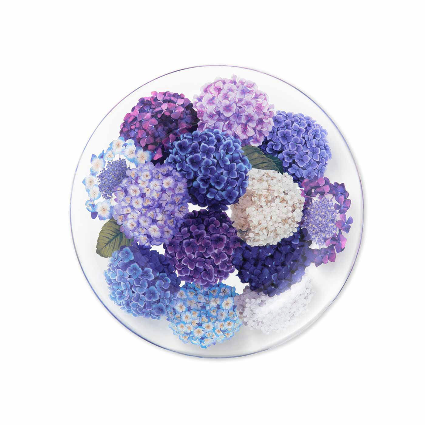 YOU+MORE! | たゆたう花手水紫陽花のガラスプレート