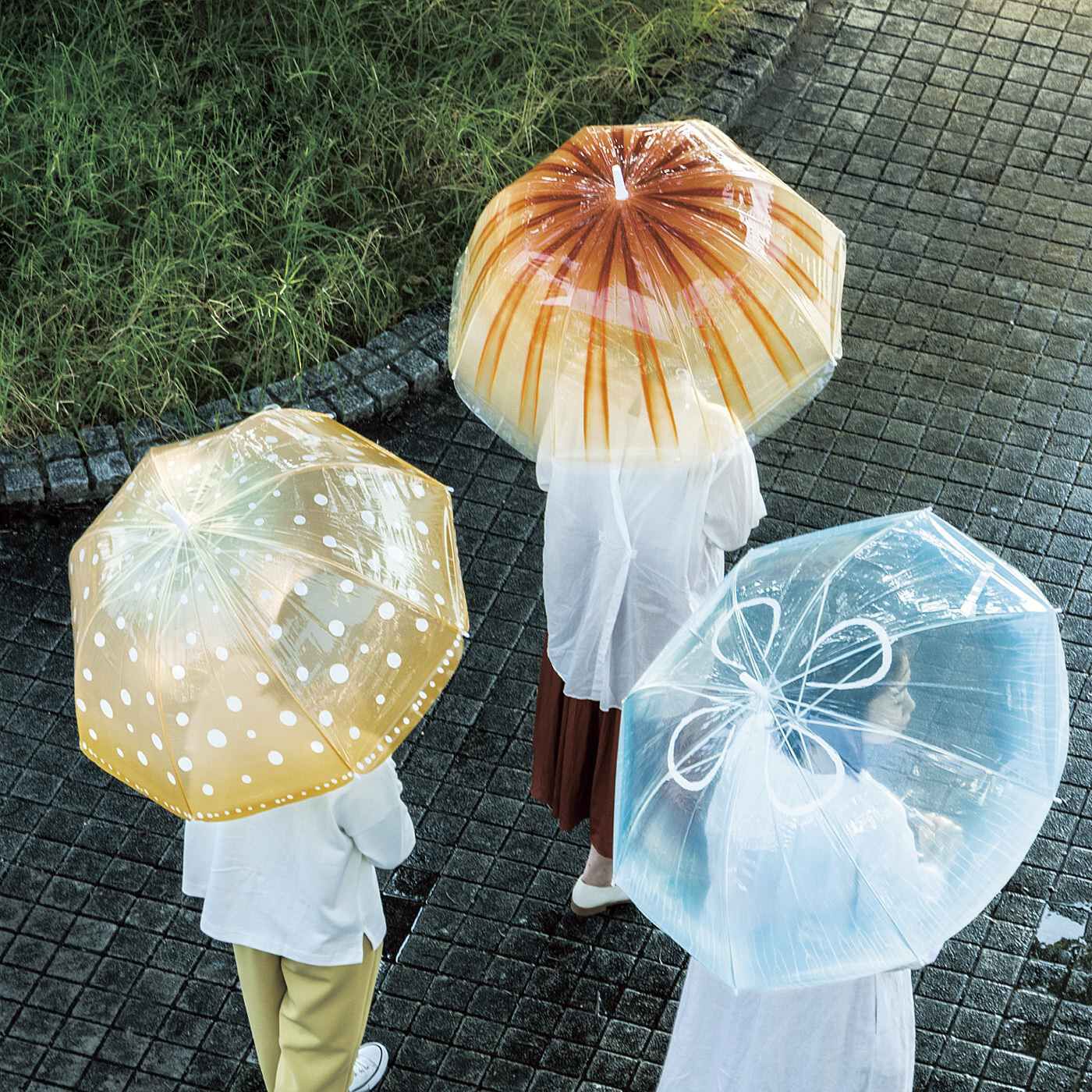 フェリシモ 雨空を泳ぐ ミズクラゲの傘 加茂水族館 - 傘