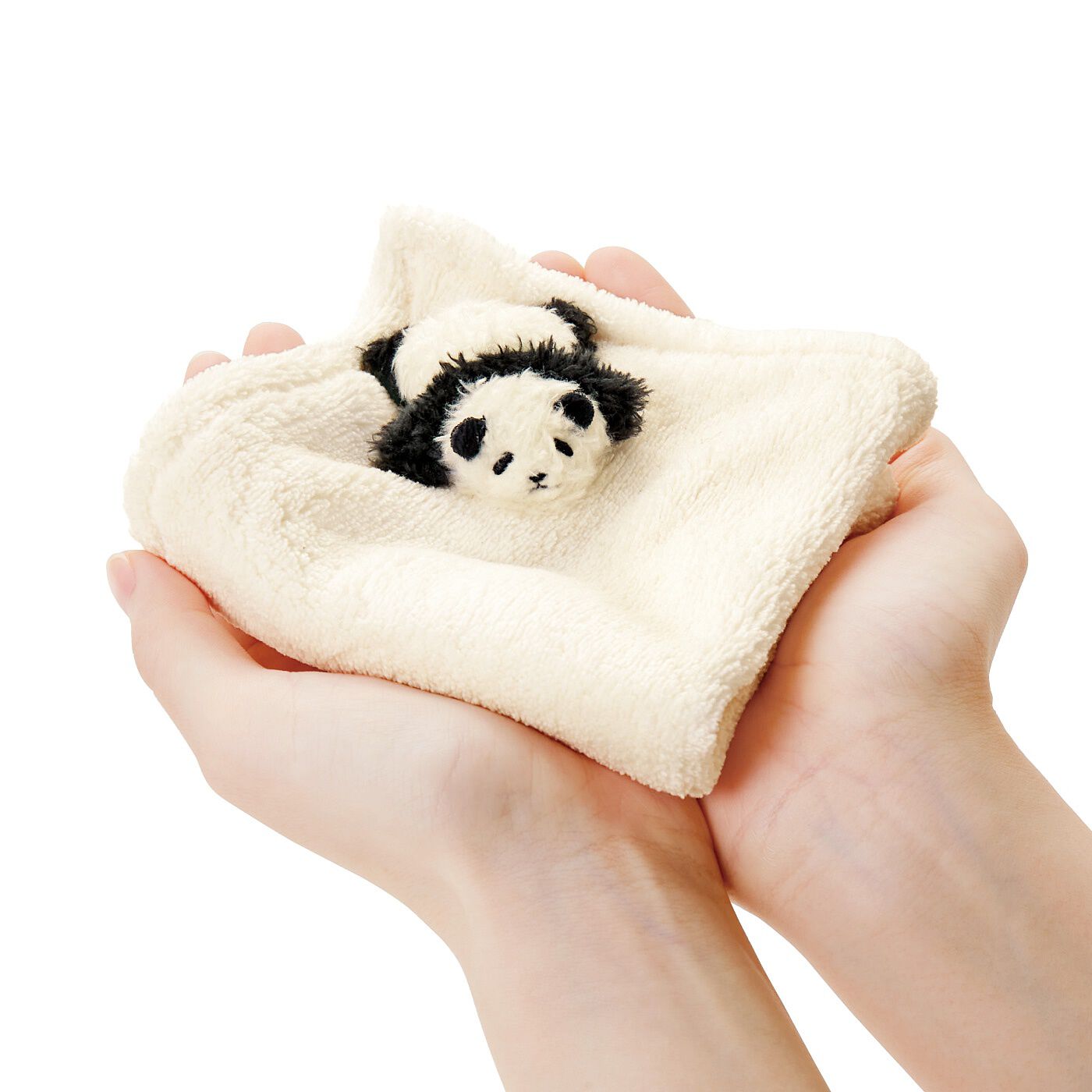 YOU＋MORE! 毛布の上で寝かせられている 赤ちゃんパンダのハンカチの会 ...
