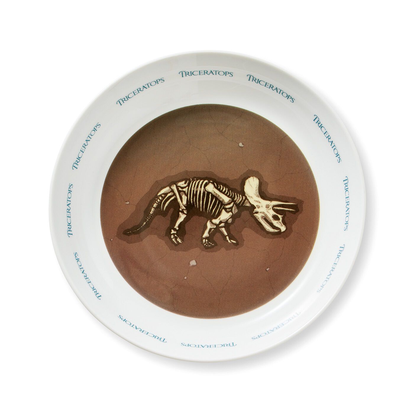 YOU+MORE!|YOU＋MORE！　食事中にまさかの発見　恐竜の化石発掘カレー皿の会|〈トリケラトプス〉