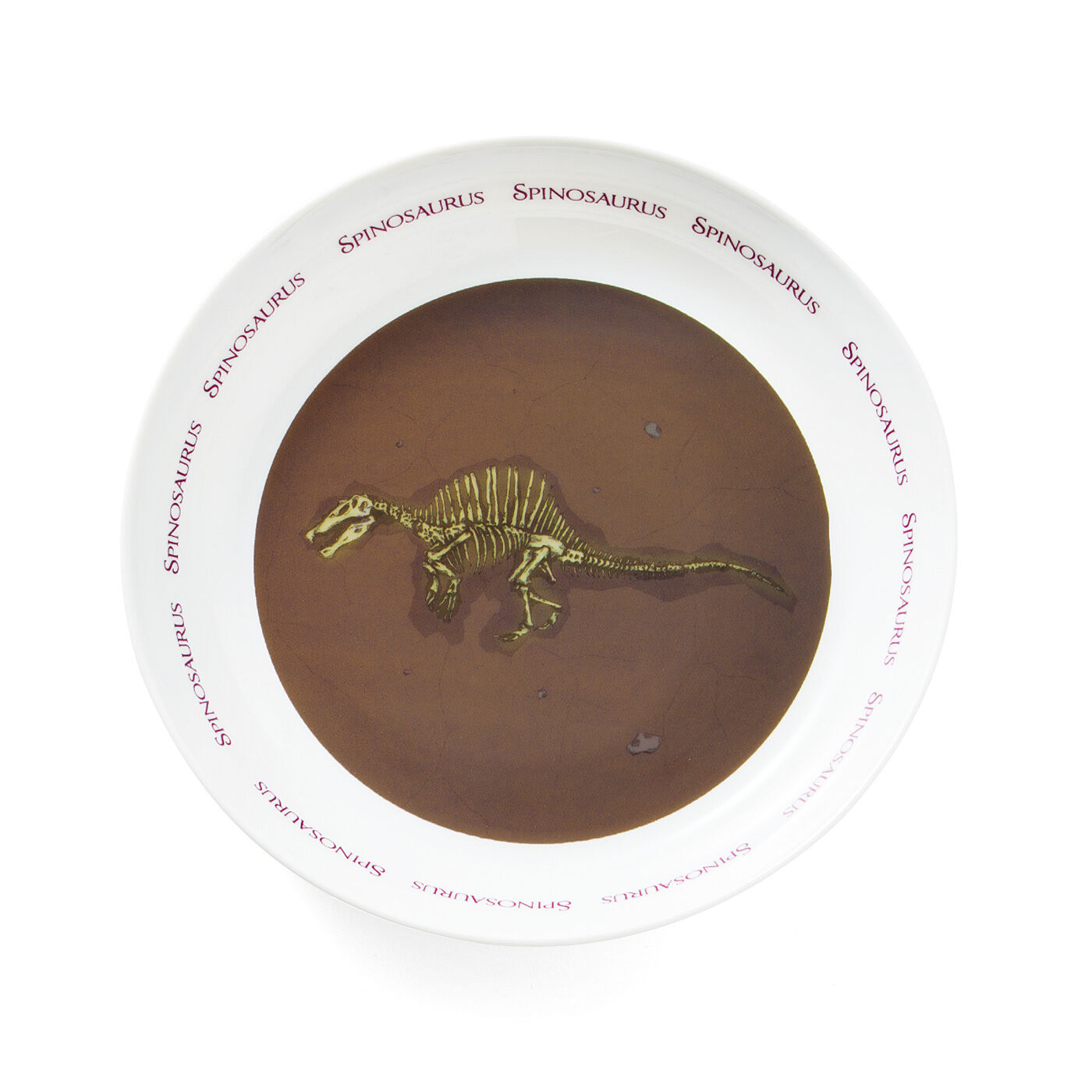 YOU+MORE!|YOU＋MORE！　食事中にまさかの発見　恐竜の化石発掘カレー皿の会|〈スピノサウルス〉