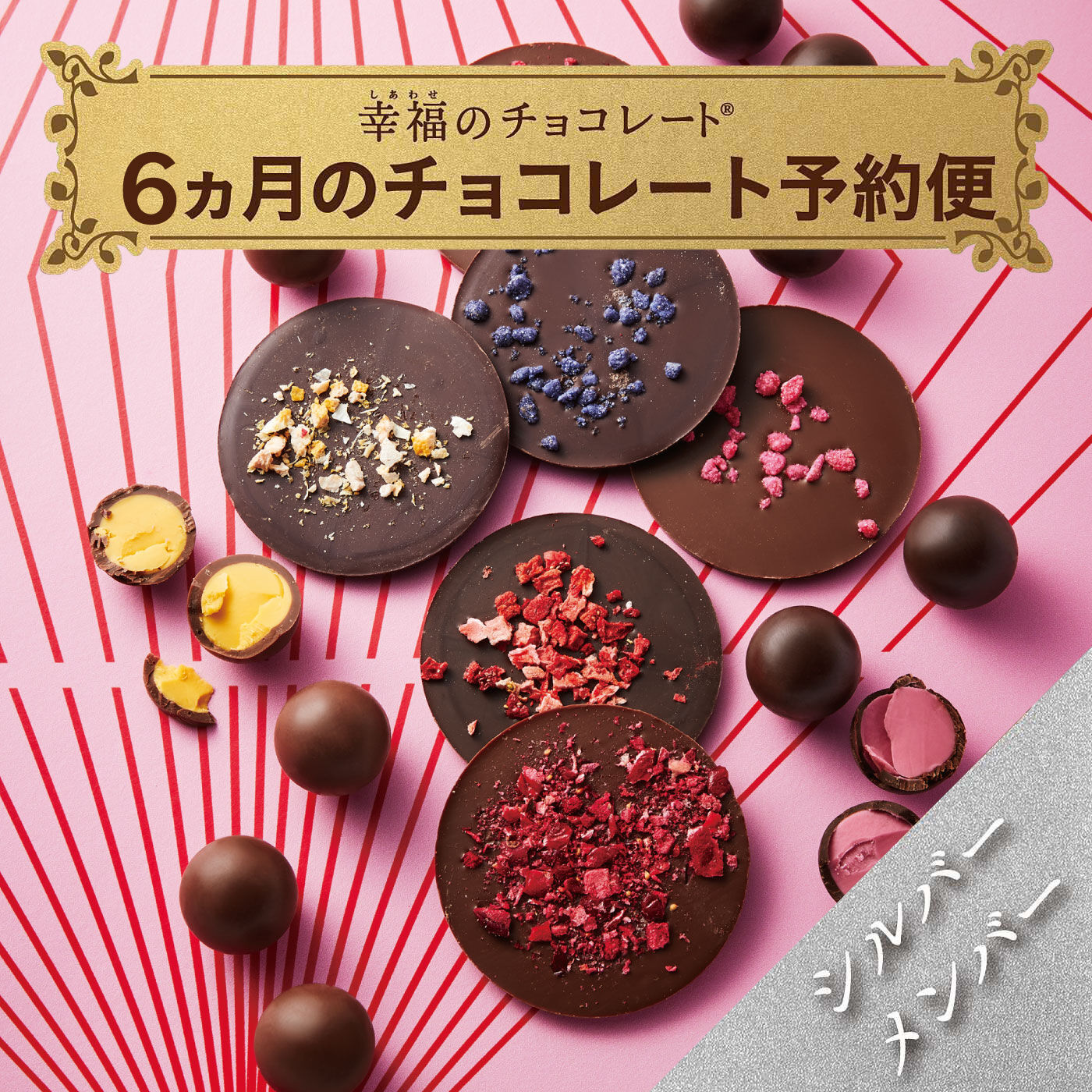 幸福のチョコレート|幸福のチョコレート メンバーサロン　シルバーメンバー〈6ヵ月コース〉