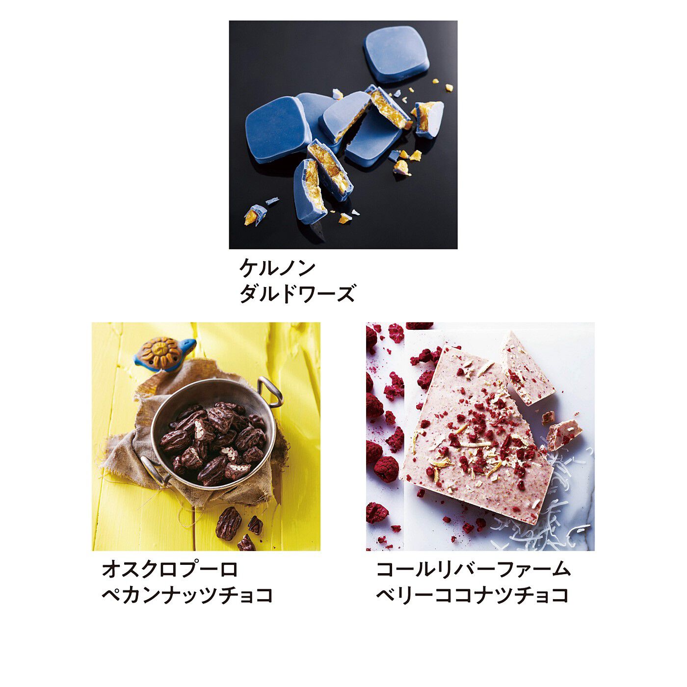 幸福のチョコレート|幸福のチョコレート講座　試食チョコセット（９粒入り）〈人気定番コース〉|※商品の色や形が変更になる場合があります。