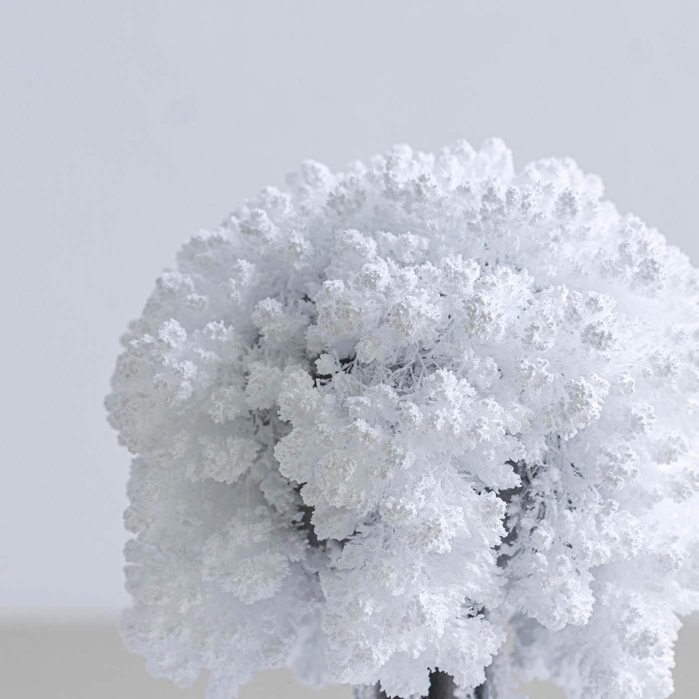 SeeMONO|デスクに咲く不思議なペーパーオブジェ〈樹氷〉|約8時間で満開になります。