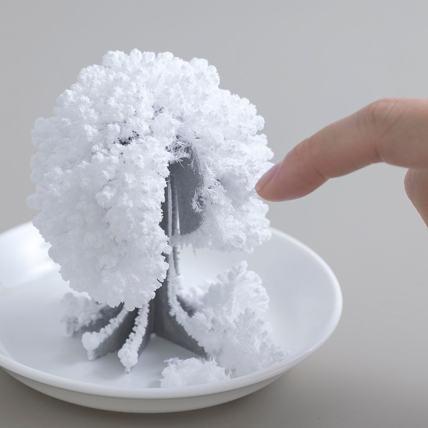 SeeMONO|デスクに咲く不思議なペーパーオブジェ〈樹氷〉|指で触ると壊れてしまう儚さですが、お皿に水を足すことで3～5回ほど繰り返し咲かせることができます。
