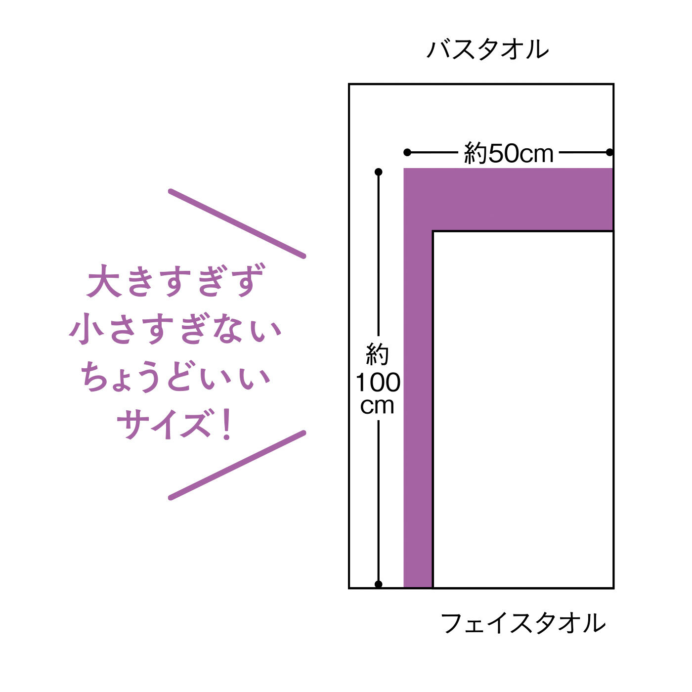 FELISSIMO PARTNERS|「＃バスタオルやめました」 HIORIE（ヒオリエ） ホテルスタイル コンパクトバスタオルの会（6回予約）