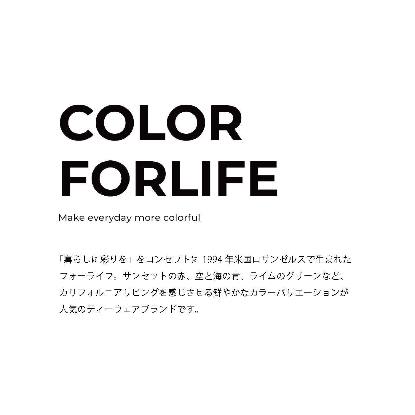 FELISSIMO PARTNERS|FORLIFE ポット不要　水色がよく見える　ルシディティーガラスのブリューインカップ