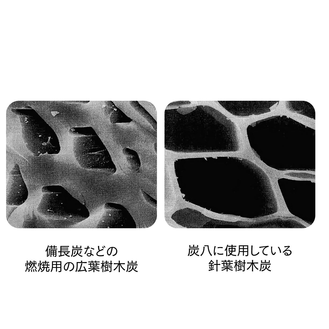 FELISSIMO PARTNERS|暮らしの湿害対策に取り入れたい　調湿木炭「炭八」ミニ２本組の会|備長炭より孔が多く、ひとつひとつの孔も大きいので、より多くの湿気を、早く吸収します。