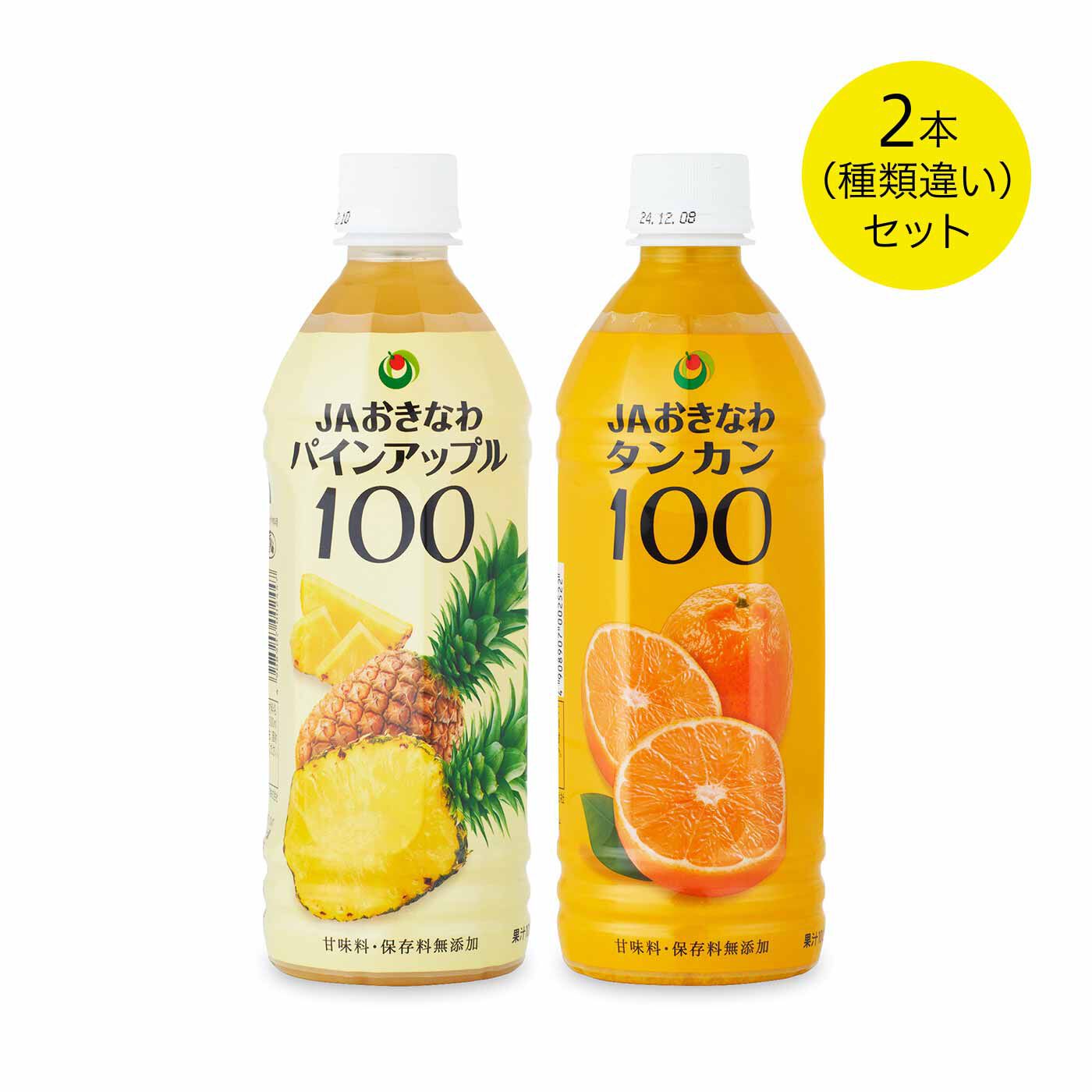 純農|純農 JAおきなわ 濃厚な太陽の恵みをごくごく♪ パインアップル100とタンカン100（果汁100％）の会|●1回のお届けセットです。