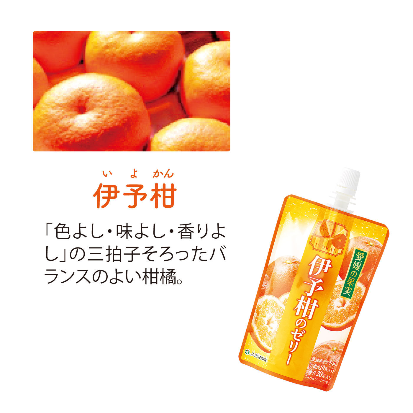 【おまとめ専用】柑橘系フルーツ柄セット