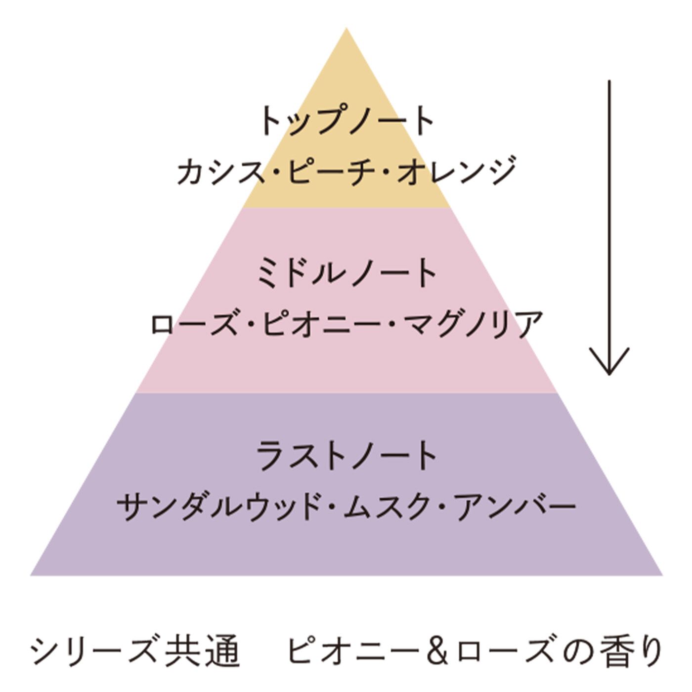 BEAUTY PROJECT|アミノマスター　コンパクトサイズ　シャンプー＆トリートメント〈しっとりタイプ〉の会|香水のように変化する3つの香りが特徴。