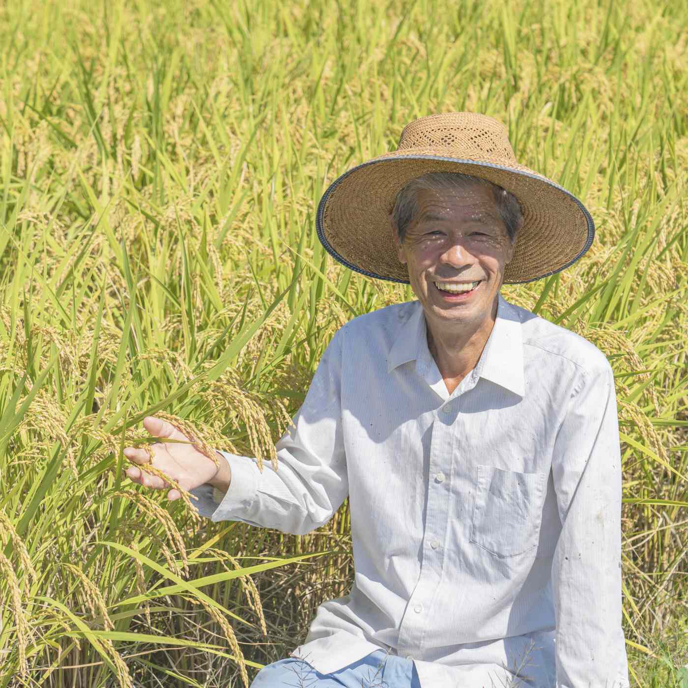 Natucul Chou Club|れんこん舎のパン用米粉　２Kｇ|【こなだもん生産者】中西繁　「丹誠こめて作りました。ぜひ、みなさんに味わっていただきたいです」お届けする「こなだもん」は、節減対象農薬・化学肥料（生産地域比5割減）の特別栽培米です。
