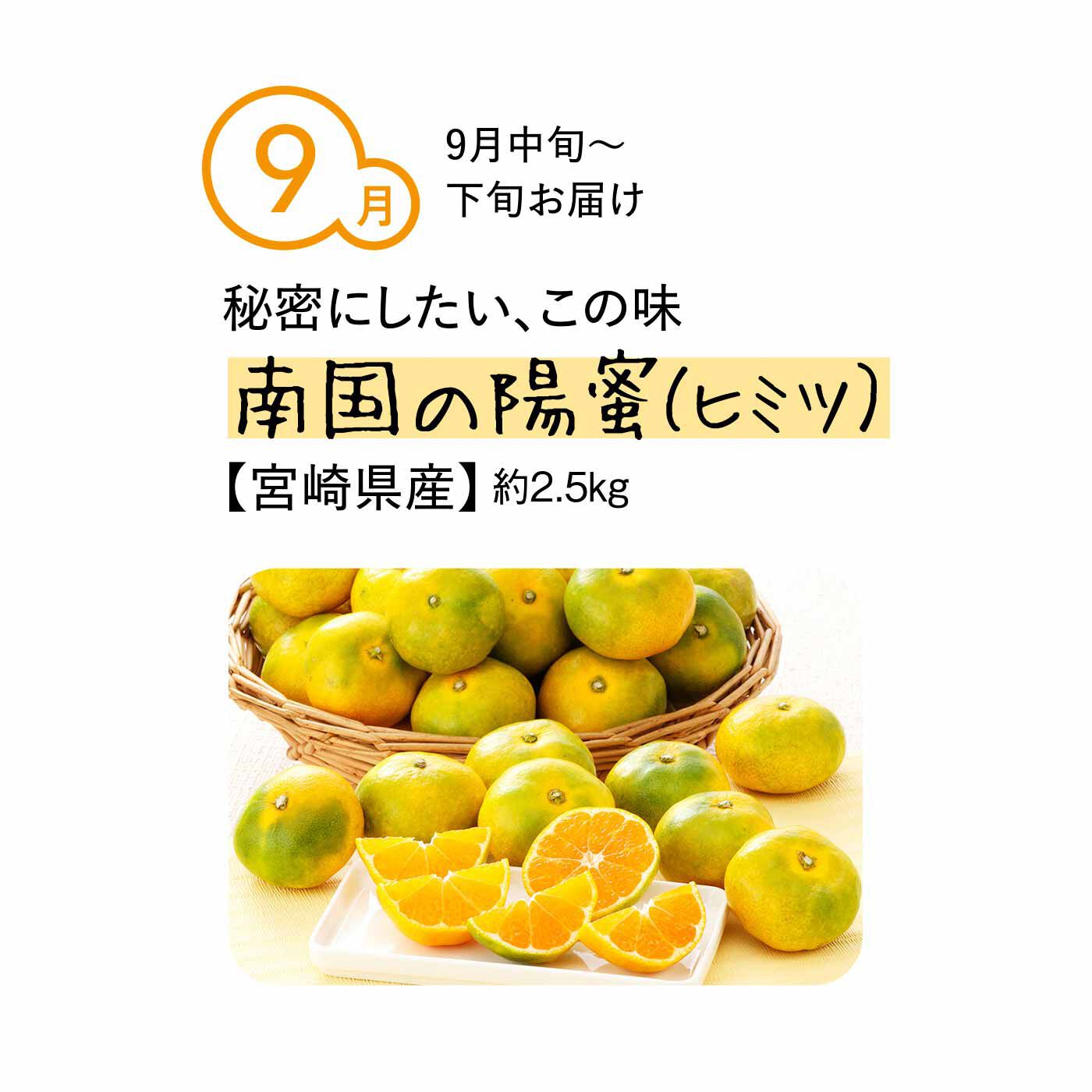 純農の特急便|純農 極早生から越冬まで 季節を味わうゼイタク！ 「糖度選別」県産ブランドみかん（5ヵ月コース）|「秘密にしておきたいほどおいしい！」「南国の陽蜜」は宮崎県のJAみやざきブランドの小ぶりな極早生みかん。糖度が高く、酸味との絶妙なバランスが味わえます。