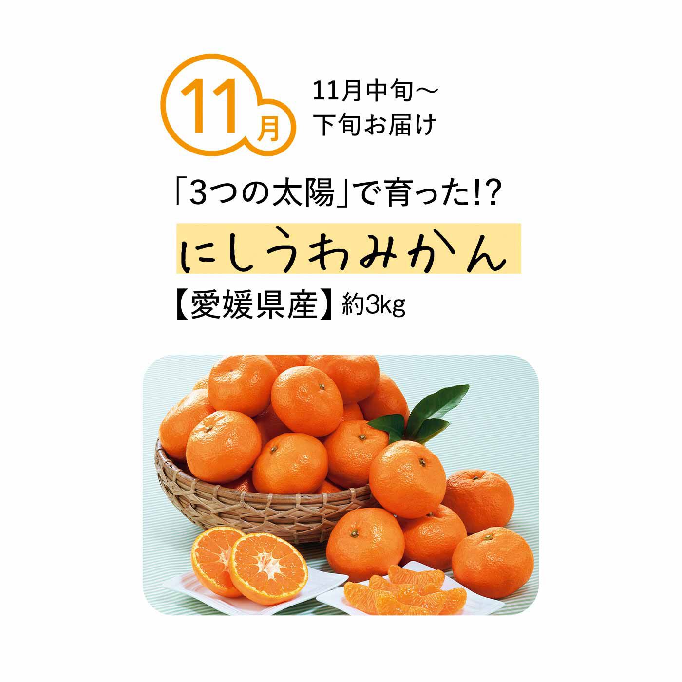 純農の特急便|純農 極早生から越冬まで 季節を味わうゼイタク！ 「糖度選別」県産ブランドみかん（5ヵ月コース）|柑橘類の宝庫、愛媛県産。空から降り注ぐ日光と海面や石垣からの反射光「3つの太陽」を浴びて、果肉がしっかり詰まった酸味と甘味のバランスがとれた逸品みかんです。