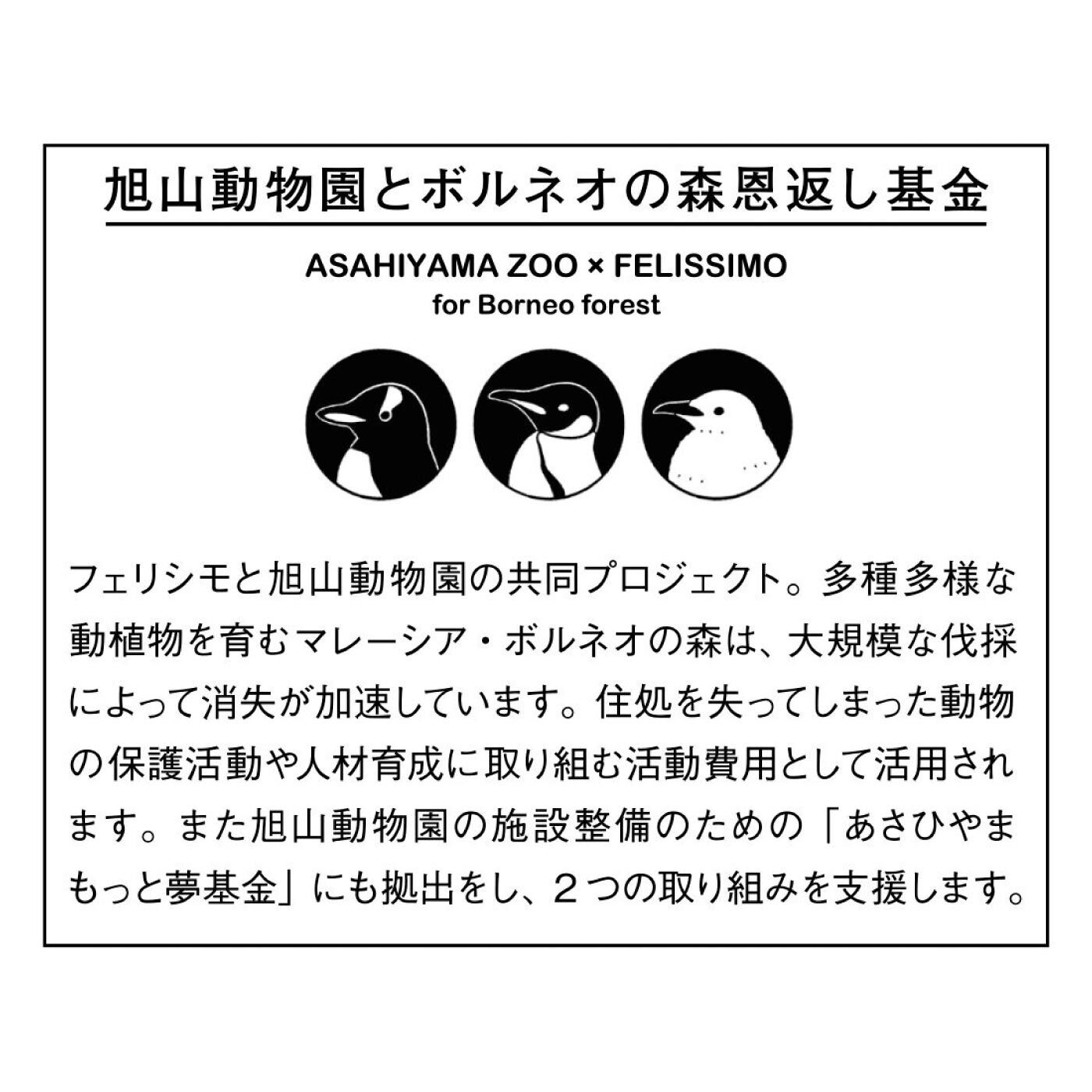 am&be|旭山動物園・ボルネオの森応援商品　am＆be　北海道に暮らす動物たちの息遣いを感じる　貼ってはがせる壁紙シールの会