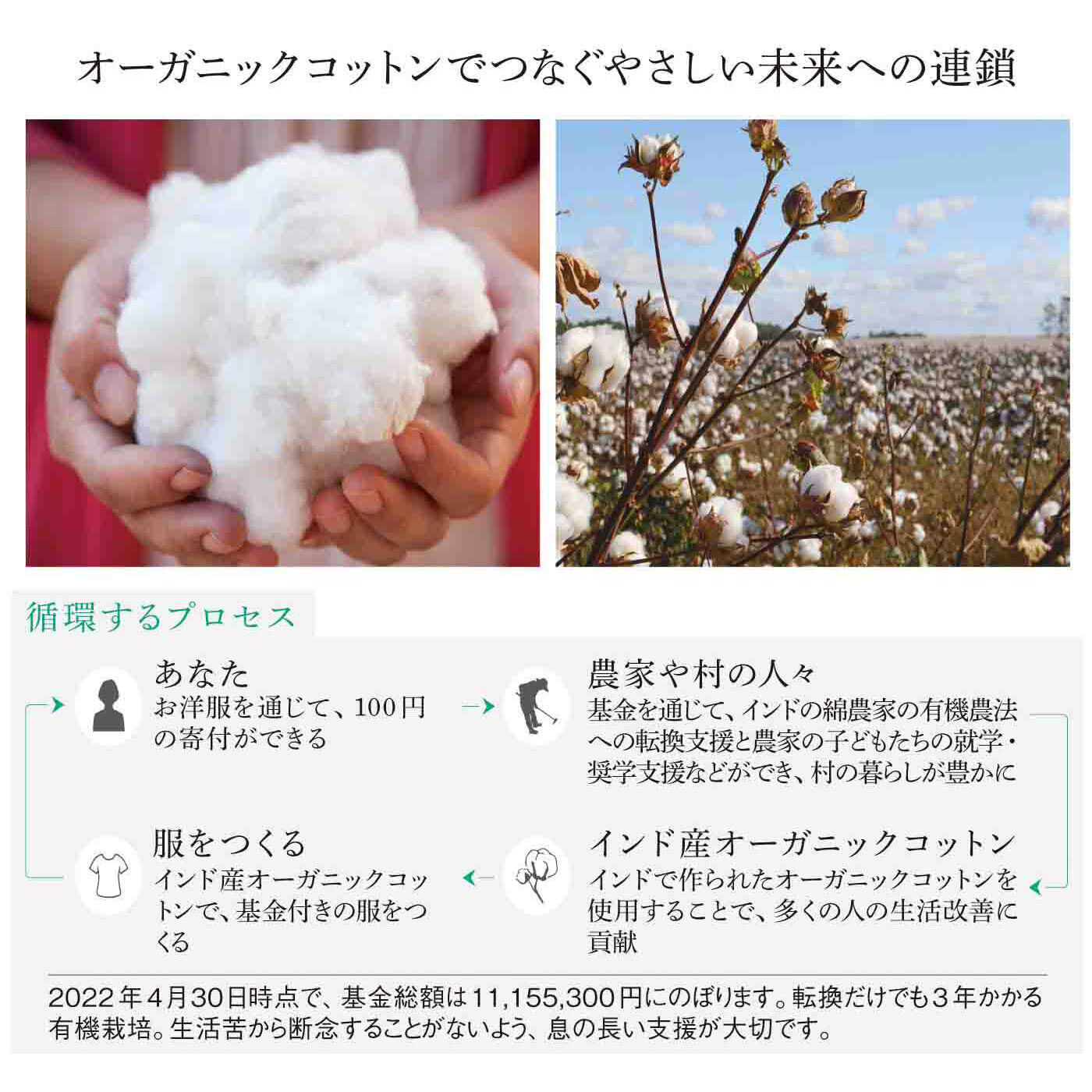 Live love cottonプロジェクト el:ment×平澤まりこ 日常の中でくつろぐ