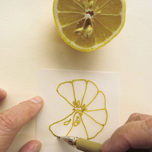 ミニツク特急便|脳がめざめるお絵かきプログラム　色えんぴつ編用　紙セット11「レモンの味と香りのコラージュ」