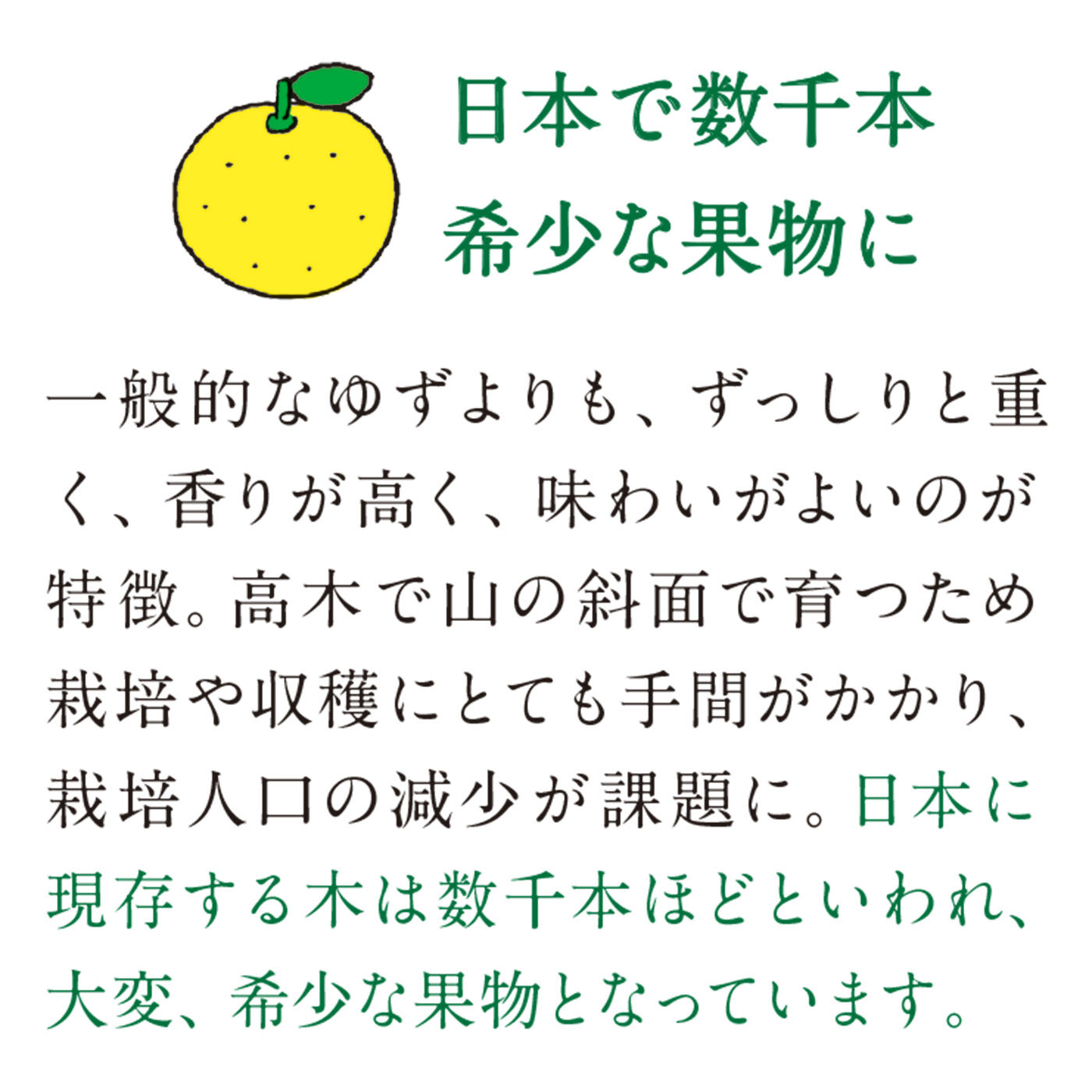 フェリシモの雑貨 Kraso|日本人の心のふるさと里山からの贈りもの　実生（みしょう）ゆず皮フリーズドライ