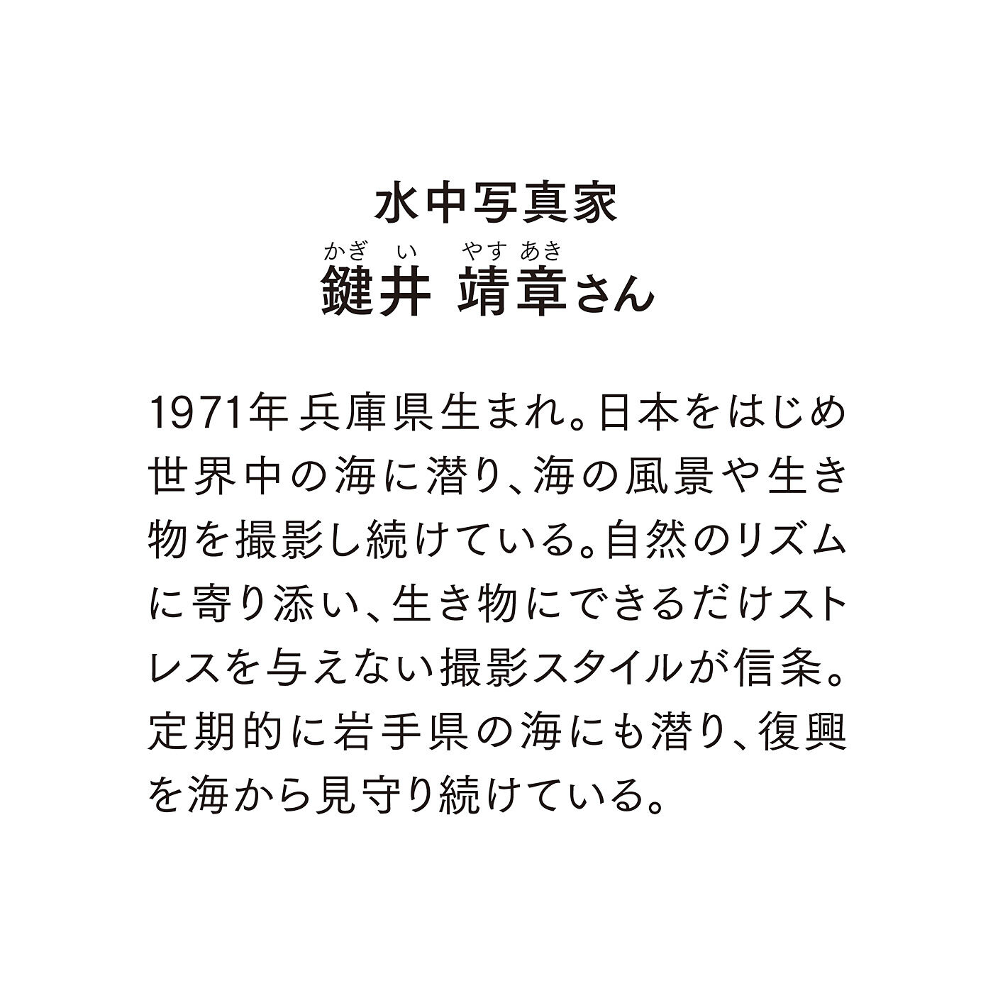 フェリシモの雑貨Kraso［クラソ］|海とかもめ部　海の景色を飾る　ダブルフェイスタオルの会