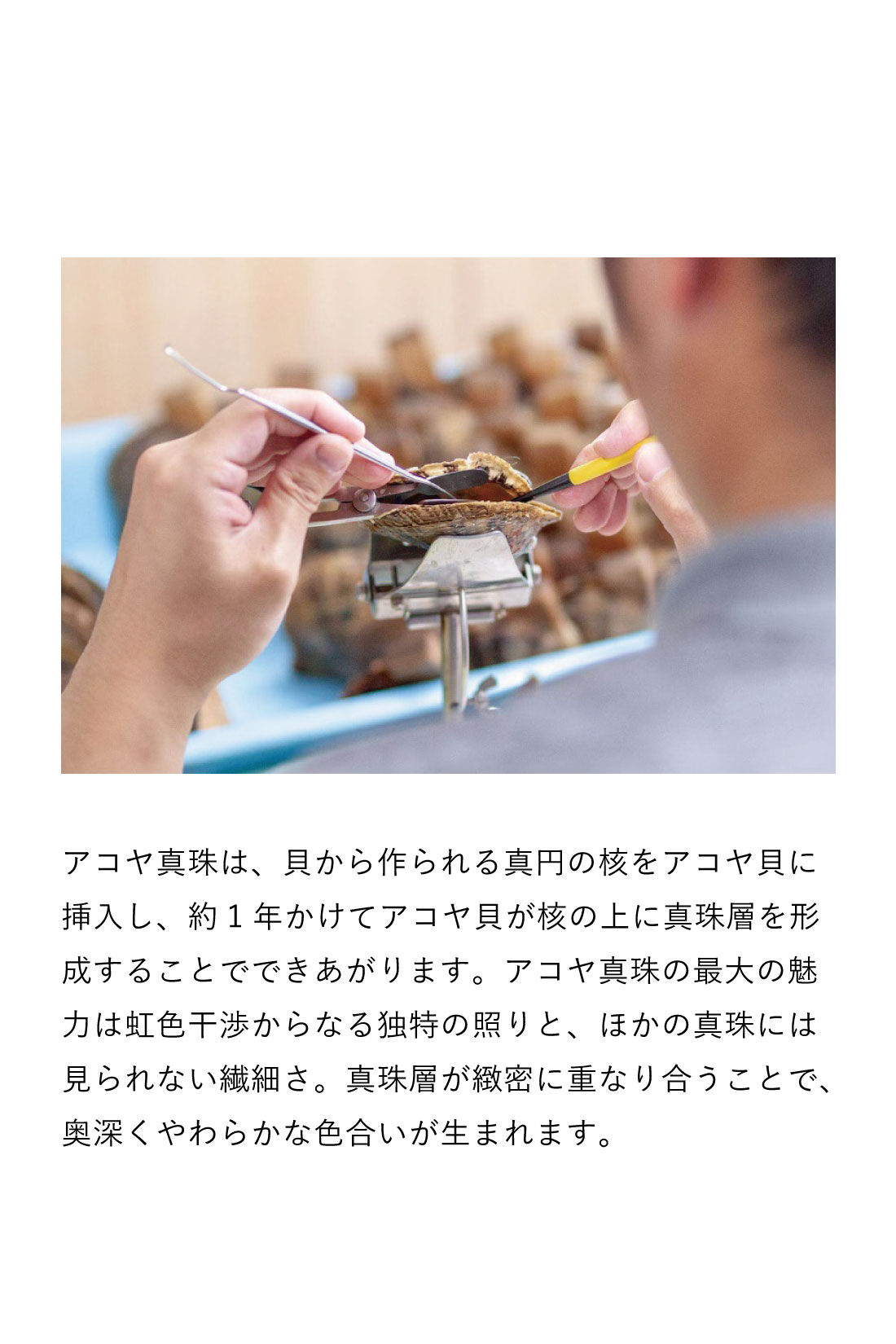 Couturier|自然の造形を愉しむ 日本の海で育った アコヤバロック真珠の会