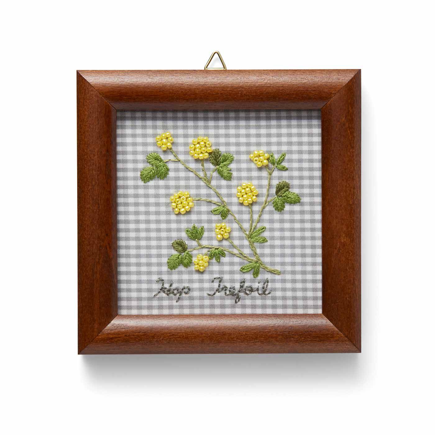 Couturier|摘みたてを集めた　花と木の実のサンプラー刺しゅうフレームの会|クスダマツメクサ