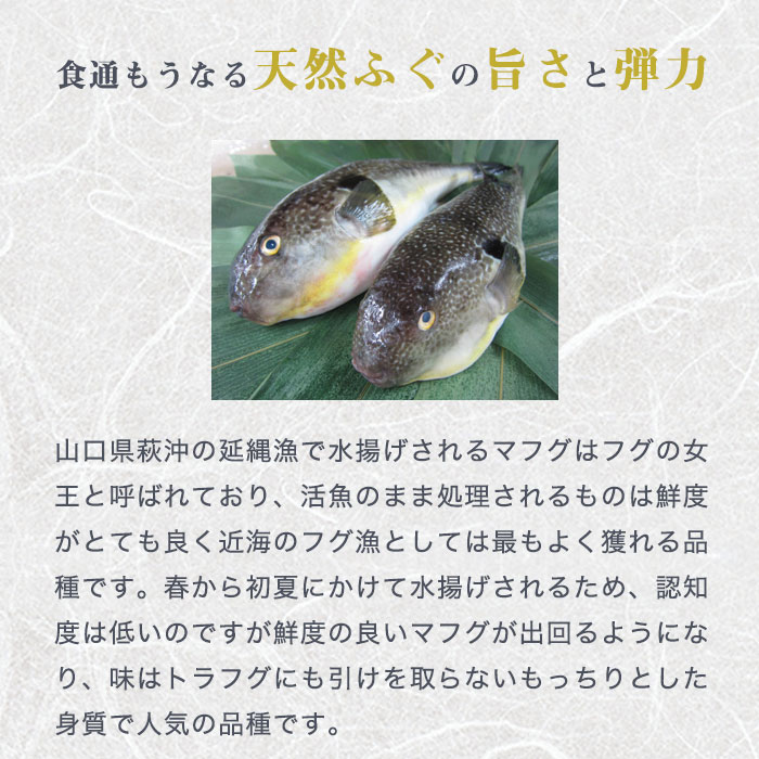 ふく太郎本部 山口県萩産活〆まふく生茶漬け 4人前 その他 食品 バイヤーセレクトの通販 フェリシモパートナーズ