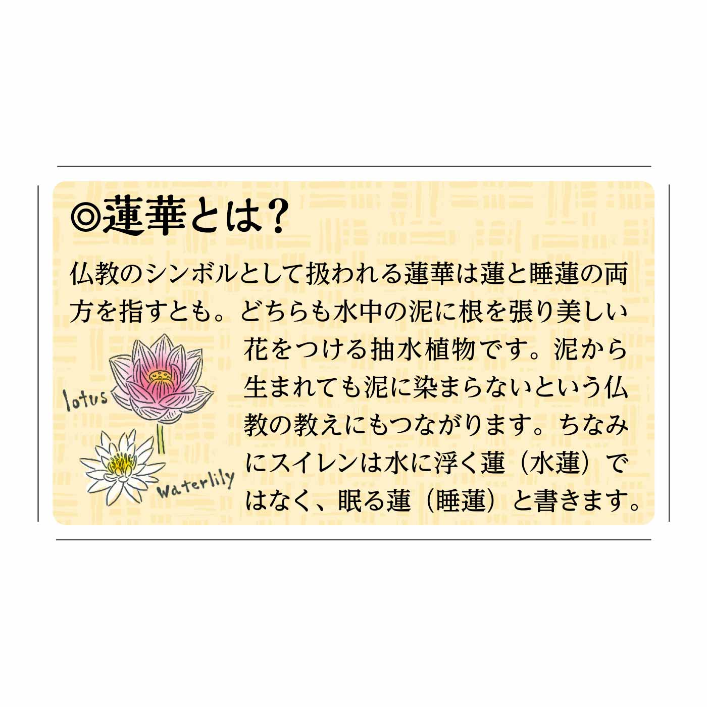 お風呂の水を清浄に ころころ蓮 蕾 れんらい お風呂ボール おうちレッスン おうちレッスン 自宅でできる大人の習い事 お稽古 趣味のレッスン講座 ミニツク 趣味と自分磨きの通信講座