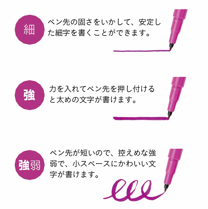 【細】ペン先の固さをいかして、安定した細字を書くことができます。　【強】力を入れてペン先を押し付けると太めの文字が書けます。　【強弱】ペン先が短いので、控えめな強弱で、小スペースにかわいい文字が書けます。