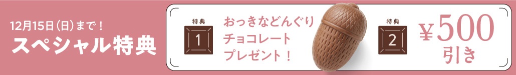 12月15日までのお得なキャンペーンをお見逃しなく