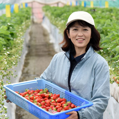 菜穂さんのいちご