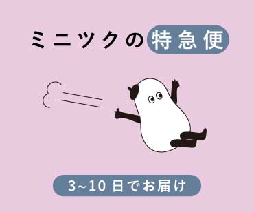 ミニツク特急便