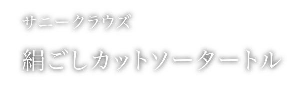 絹ごしカットソータートル