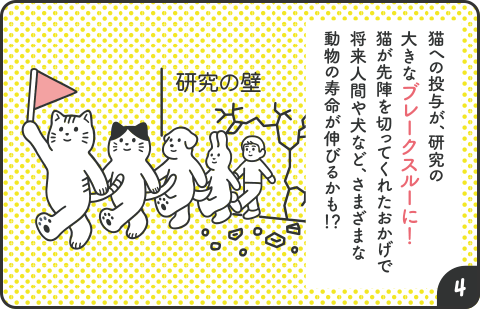 猫への投与が、研究の大きなブレークスルーに！猫が先陣を切ってくれたおかげで将来人間や犬など、さまざまな動物の寿命が延びるかも!?