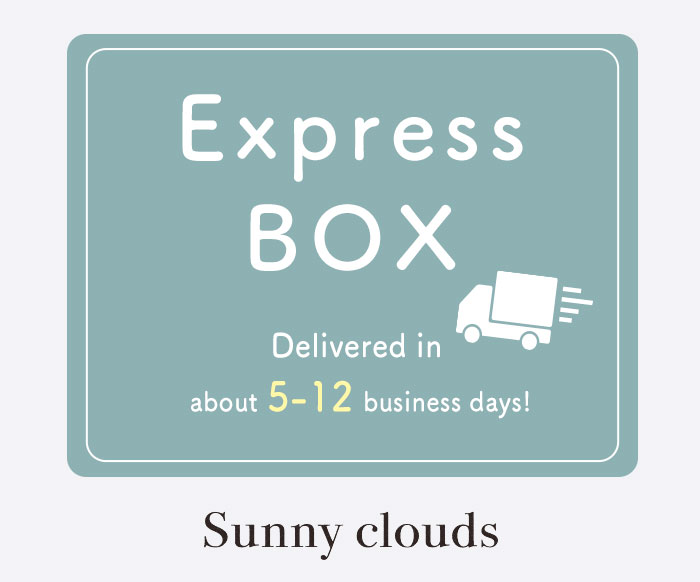 Express BOX