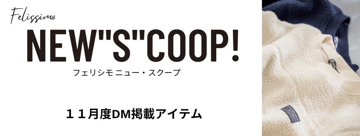 2024年11月 ニュースクープ掲載商品一覧