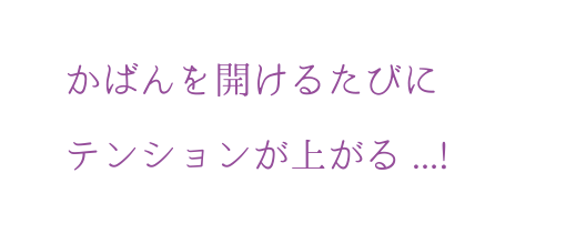 かばんを開けるたびにテンションが上がる...!