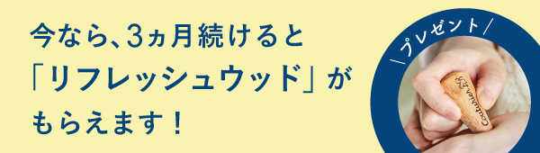 美しい花のレリーフをつなぐ真っ白なキルトの会｜パッチワーク・キルト